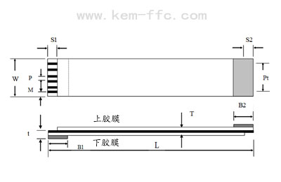 FFC排線平面結構