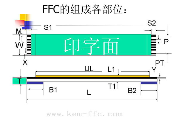 ffc排線平面結構圖